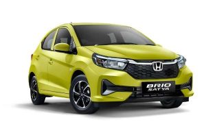 BRIO Satya + RS